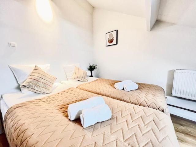 Logies By Suzan Hotel Hasselt Ngoại thất bức ảnh